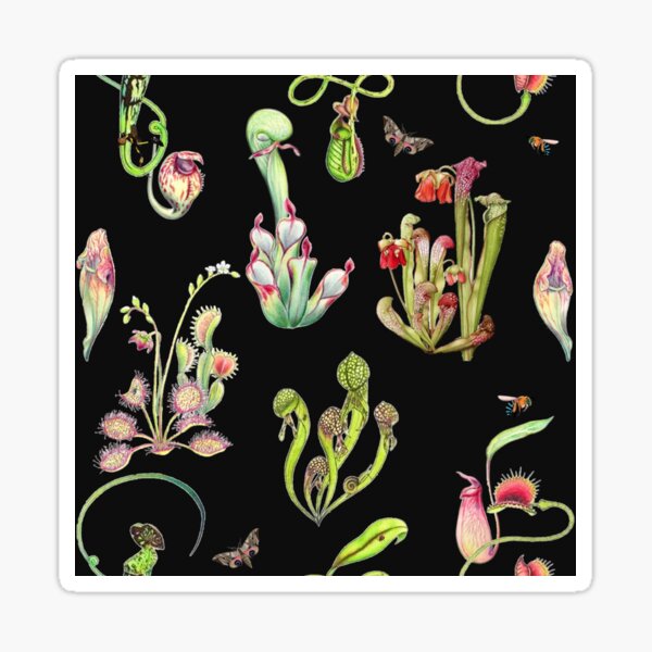 Item preview, The Carnivores - Carnivorous Plants  designed and sold by Corinne Alexa Jackson.