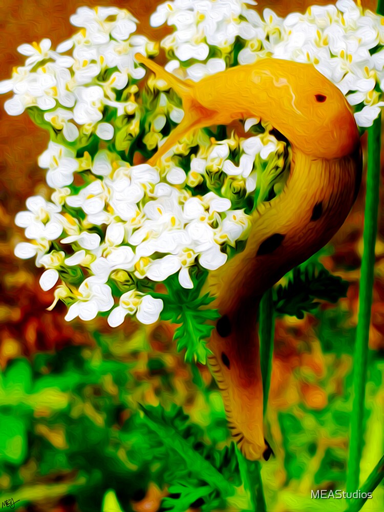 Fleur Animal Escargot Avec Fleurs Décoration De