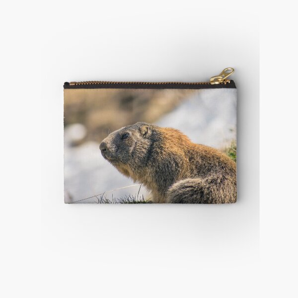 Item preview, Animals of the Alps - Marmots designed and sold by AlpineShots.