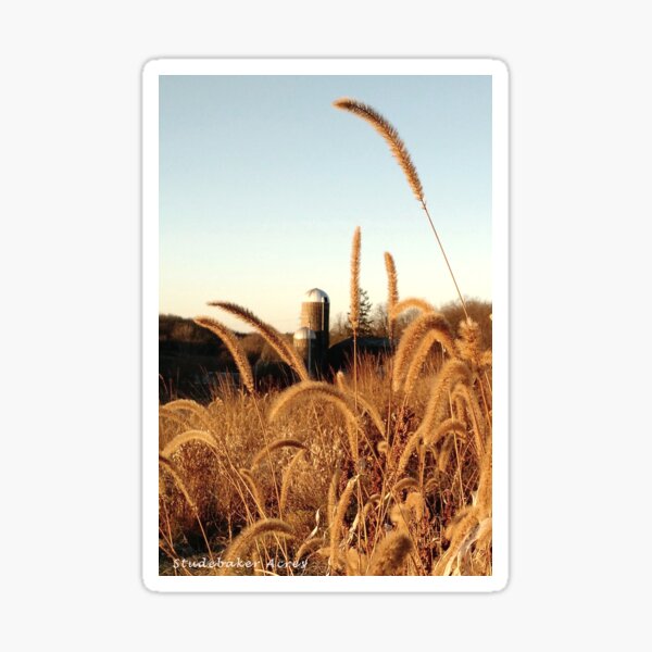 Vista previa del artículo con la obra «Silos», diseñado y vendido por StudebakerAcres.