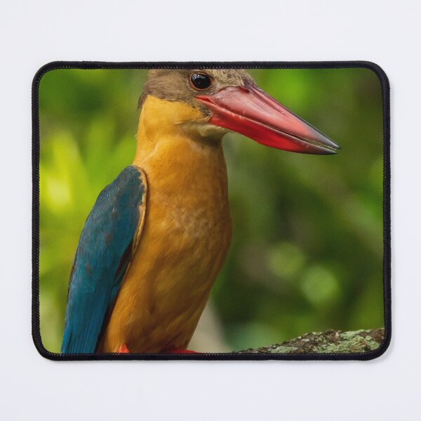 Item preview, Stork-billed Kingfisher designed and sold by TravellingFatmn.