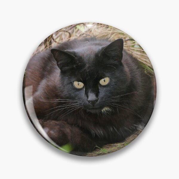 Item preview, r-78 /  New finition 2023: " Mes  Adorable Chats " Okaio-Umin  Créations  Olavia-Olao  designed and sold by o.okaïo.