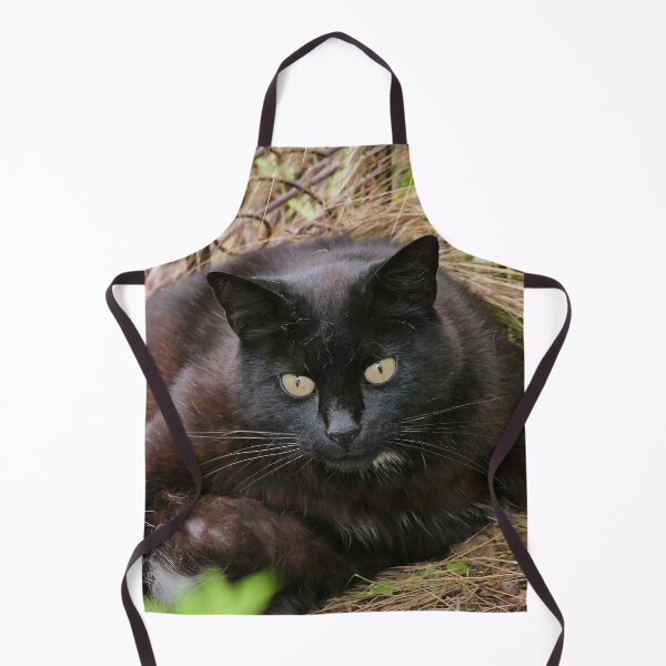 Item preview, r-78 / New finition 2023: " Mes Adorable Chats " Okaio-Umin Créations Olavia-Olao designed and sold by o.okaïo.