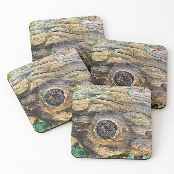 Item preview, Ancient Log designed and sold by Paddyb17.