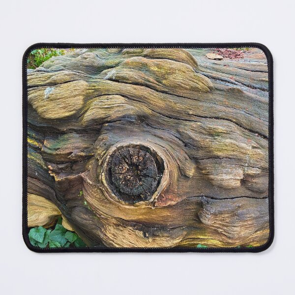 Item preview, Ancient Log designed and sold by Paddyb17.