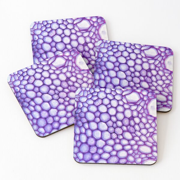 Item preview, grape vine, vein cells; plant anatomy, microscopy designed and sold by everydaybotany.