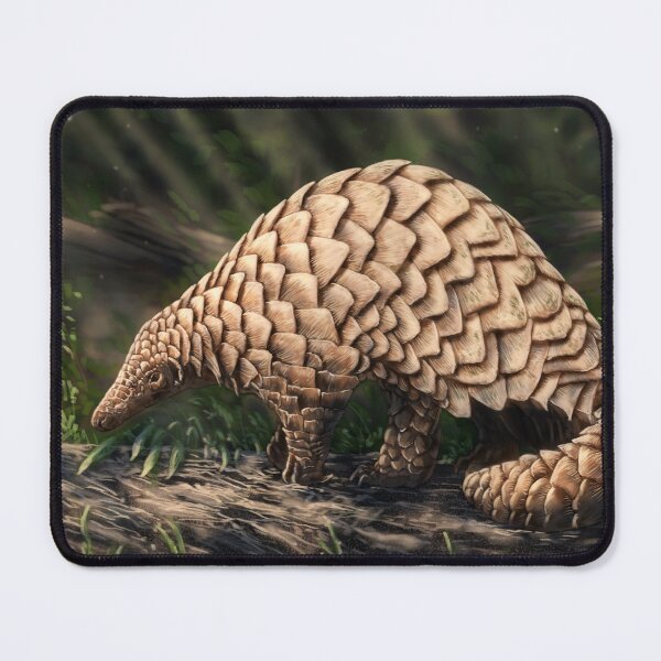 Item preview, Pangolin designed and sold by alandodrawing.