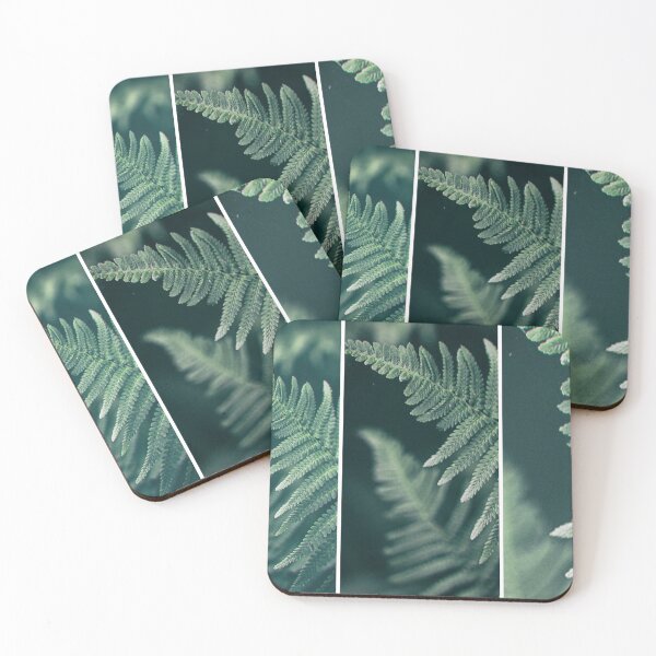 Item preview, fern leaf triptych designed and sold by jkrphoto.