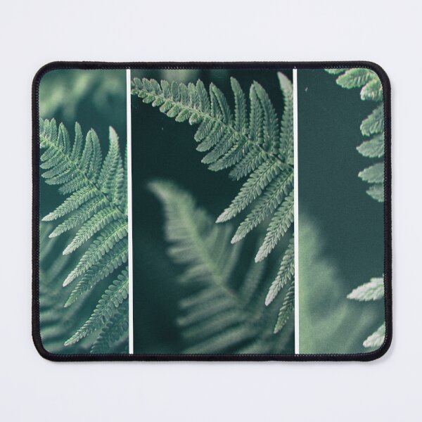 Item preview, fern leaf triptych designed and sold by jkrphoto.