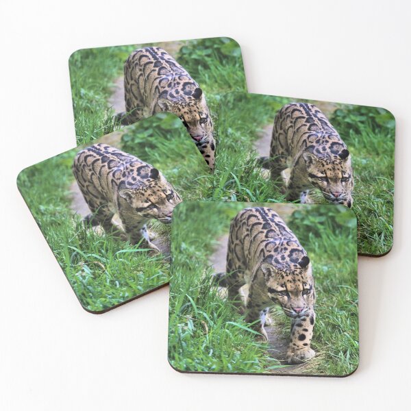 Item preview, Clouded Leopard Stroll designed and sold by Fearless-Fox.
