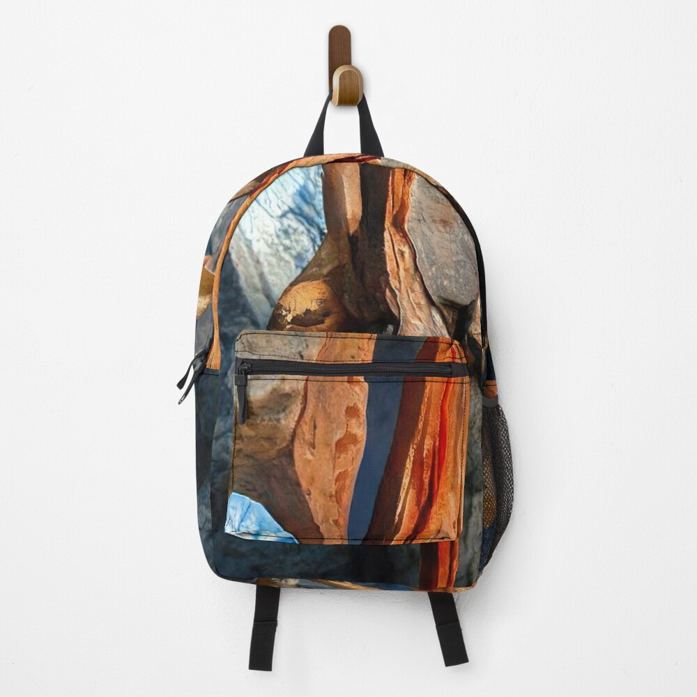 Aperçu de l'œuvre Sac à dos créée et vendue par Hadsund.