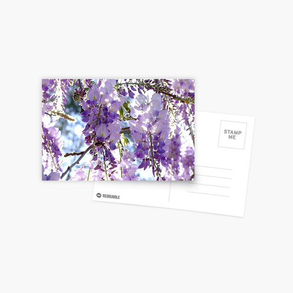 Item preview, Petals of Wisteria designed and sold by Gabrielle  Lees.