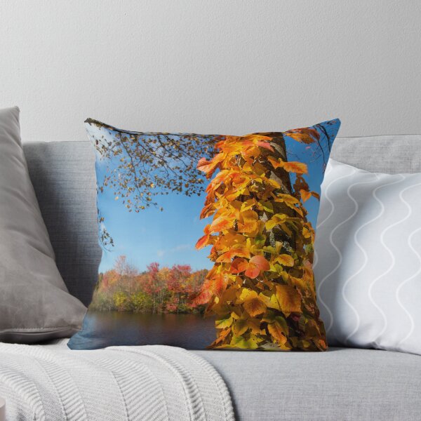 Item preview, Growing Colors designed and sold by Karol Livote.