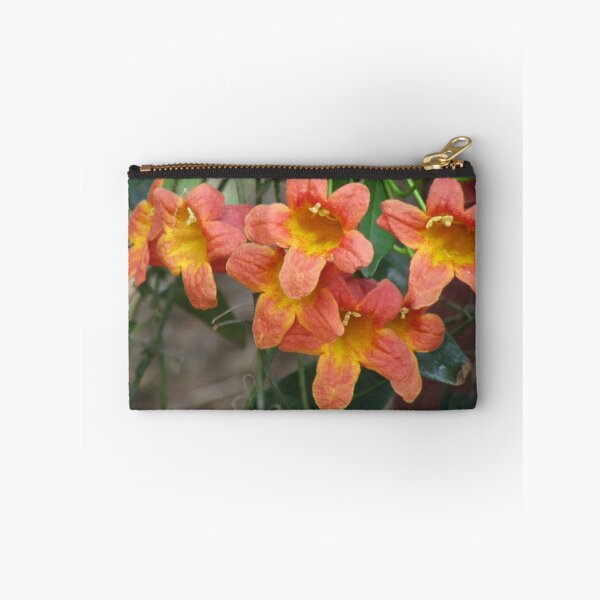 Item preview, Cross vine flowers designed and sold by abacoian.