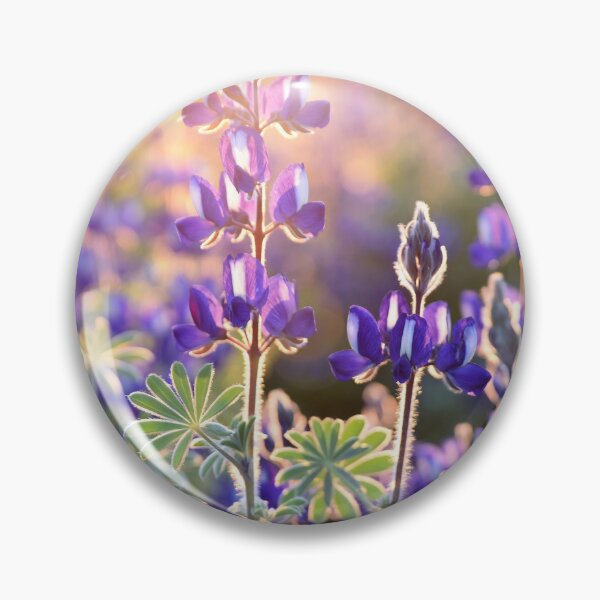 Item preview, Morning Garden designed and sold by MICKSPIKS.