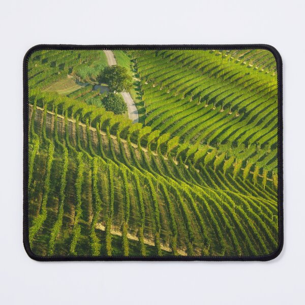 Item preview, Langhe region, roads and trees among the vineyards. Italy designed and sold by Stefano Orazzini.
