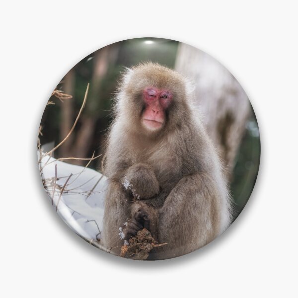 Item preview, Snow monkey winking designed and sold by aaronchoi.