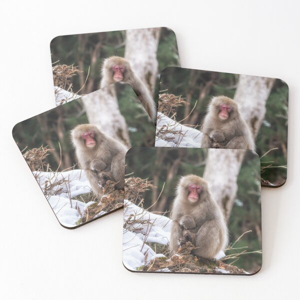 Item preview, Snow monkey winking designed and sold by aaronchoi.