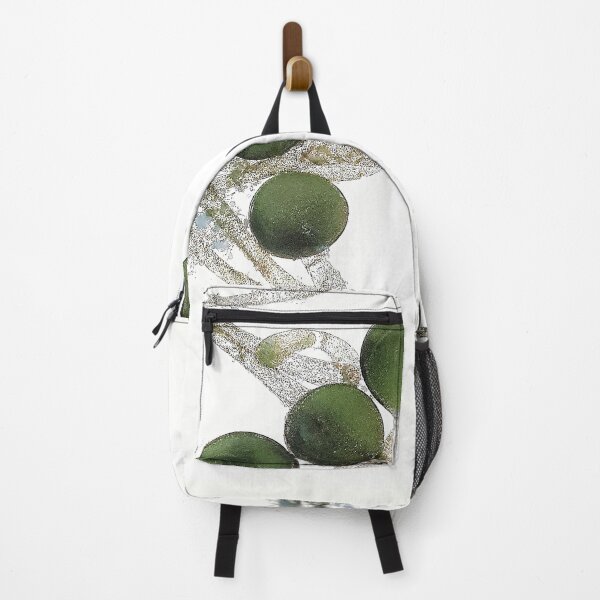 Item preview, alga with reproductive cells; plant anatomy, microscopy designed and sold by everydaybotany.