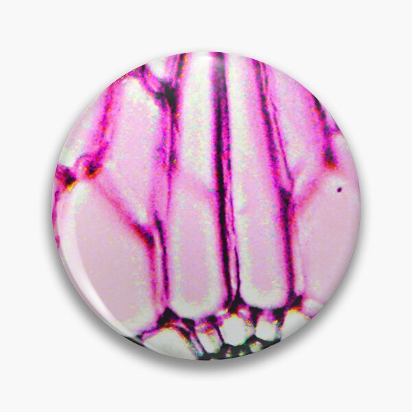 Item preview, Microscopic Cells 06 designed and sold by Minerva92.
