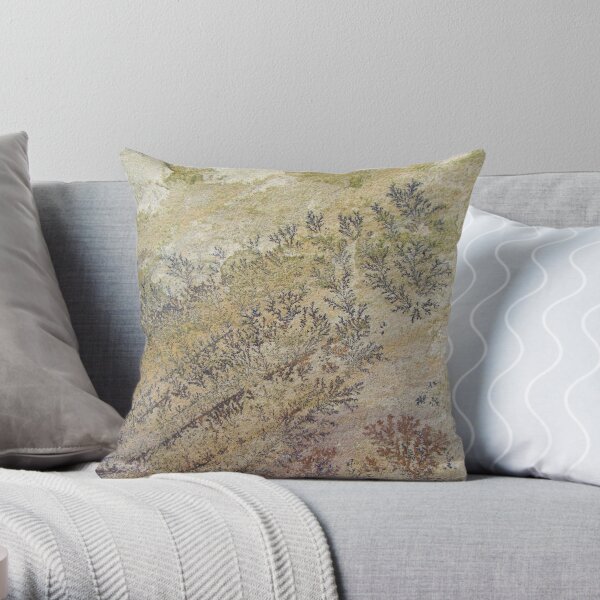Sandstone Fossil Throw Pillow