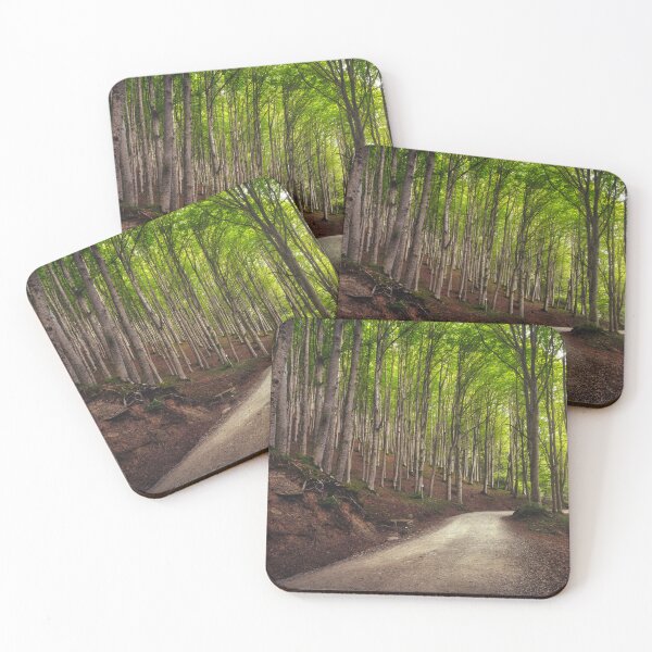 Item preview, Road in the beechwood. Foreste Casentinesi, Tuscany designed and sold by Stefano Orazzini.