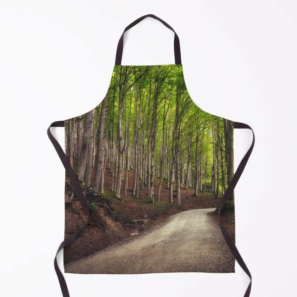 Item preview, Road in the beechwood. Foreste Casentinesi, Tuscany designed and sold by Stefano Orazzini.