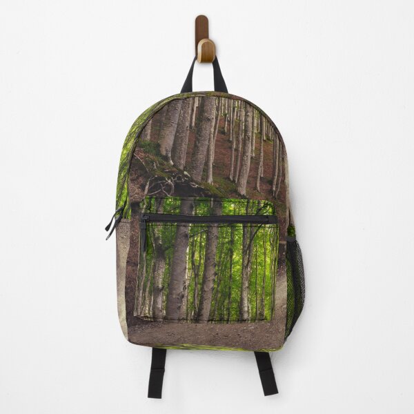 Item preview, Road in the beechwood. Foreste Casentinesi, Tuscany designed and sold by Stefano Orazzini.