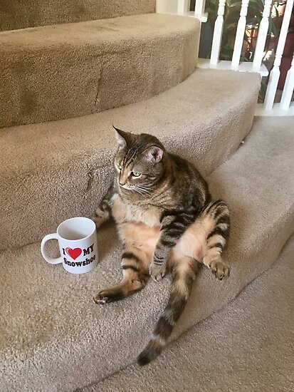 Póster «Gato tomando café en las escaleras» de Hamgurgler | Redbubble