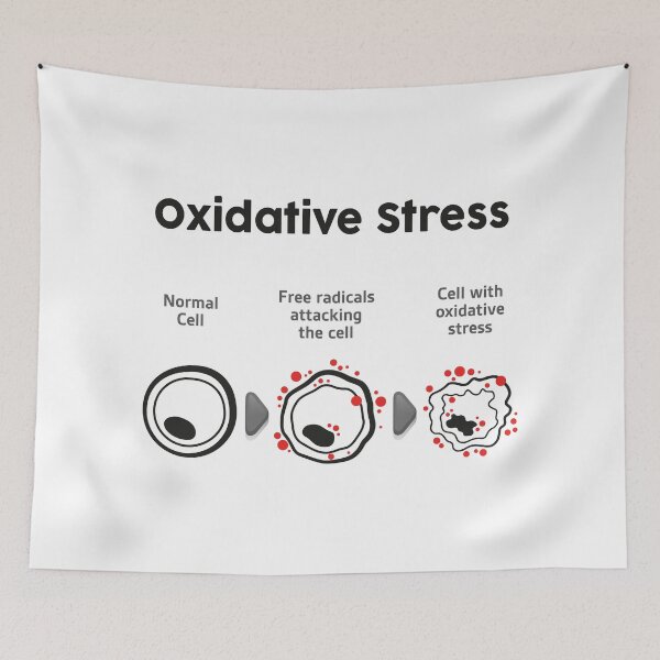 Item preview, Cell anatomy undergoing oxidative stress, biology. Ideal for educational and informational materials designed and sold by LucianoCosmo.