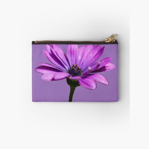 Item preview, Bornholm daisy (Osteospermum ecklonis) flower designed and sold by marcrolandscape.