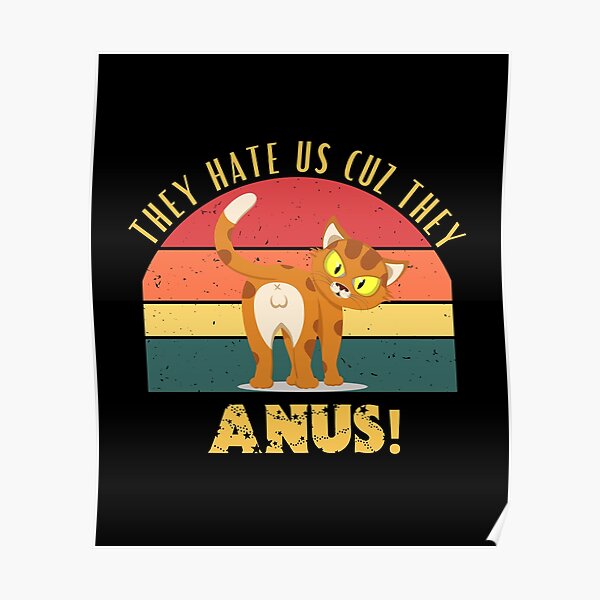 They Hate Us Cuz They Anus - They Hate Us Cause They Anus - Posters and Art  Prints