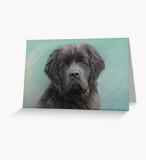 Stormy.. Greeting Card