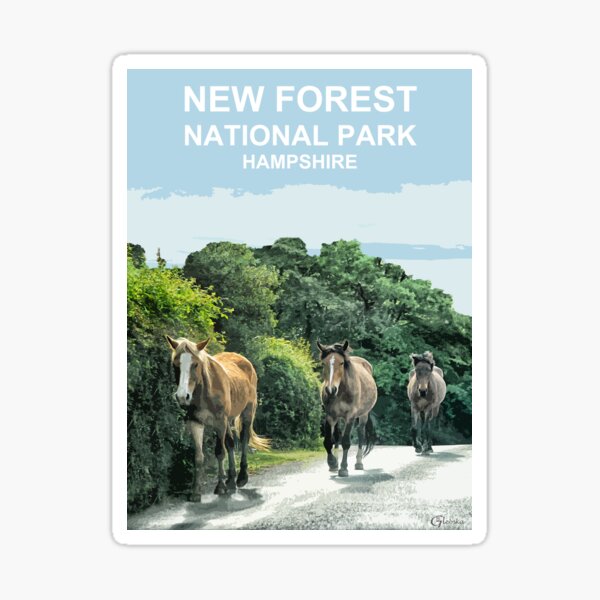 Artikel-Vorschau von New Forest, Hampshire-Ponys, Pferdegeschenk. New Forest Reiseplakat, designt und verkauft von BarbaraGlebska.