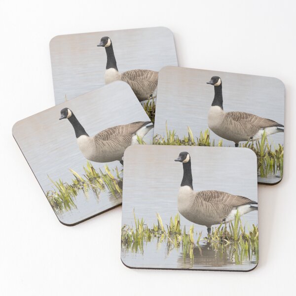 Item preview, Canada Goose designed and sold by LaurenTucker.