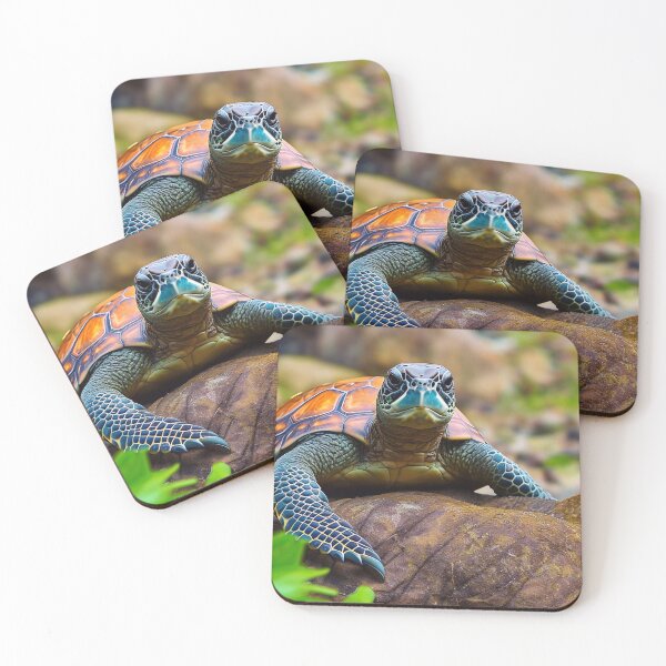 Item preview, Sea Turtle   designed and sold by Petter01.