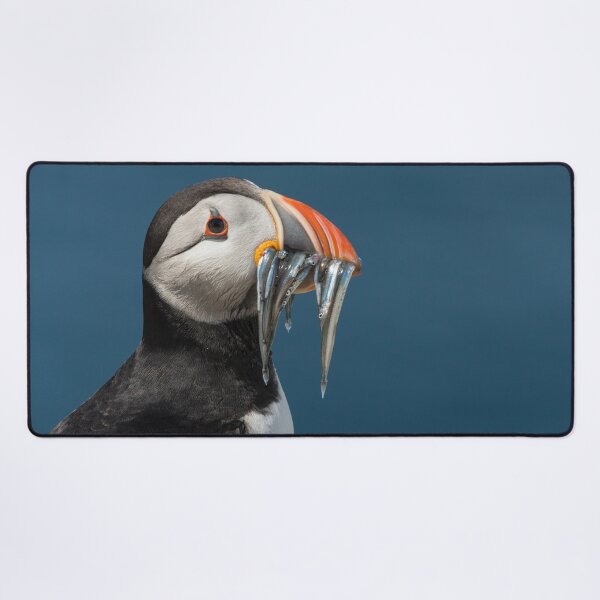 Item preview, Puffin on the rocks with a beakful of fish. designed and sold by HaleyRedshaw.