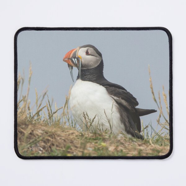 Item preview, Wildlife Atlantic Ocean puffin bird with a catch of fish designed and sold by HaleyRedshaw.