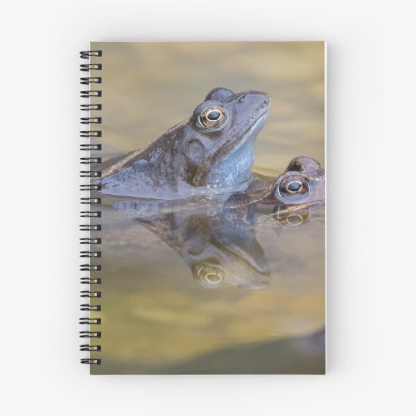 Item preview, Common Frog designed and sold by LaurenTucker.
