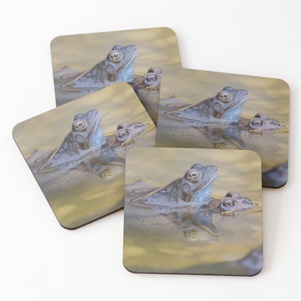 Item preview, Common Frog designed and sold by LaurenTucker.
