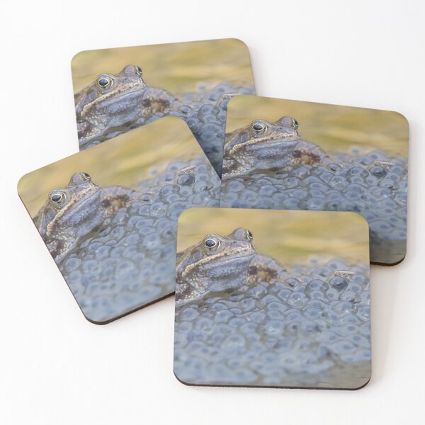 Item preview, Common Frog designed and sold by LaurenTucker.