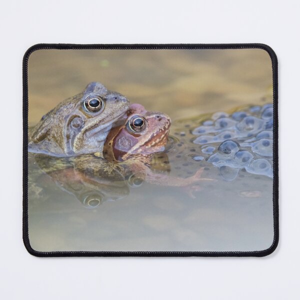 Item preview, Common Frog designed and sold by LaurenTucker.