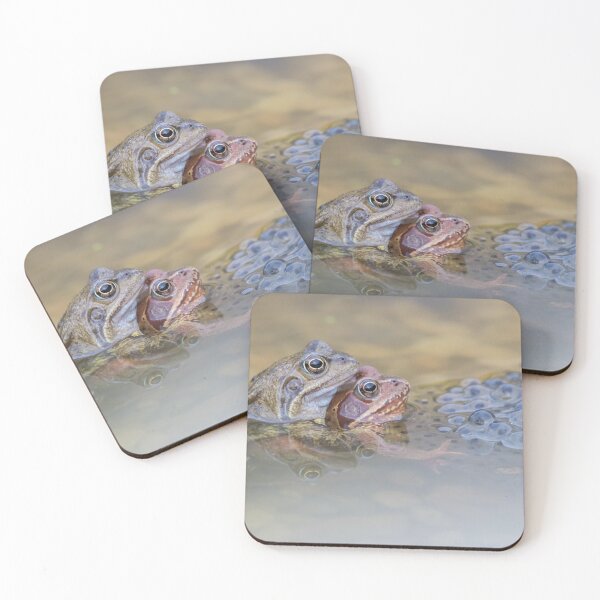 Item preview, Common Frog designed and sold by LaurenTucker.