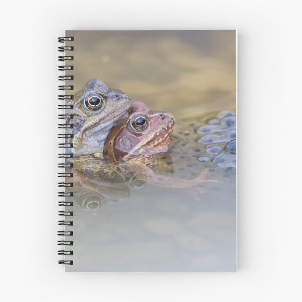 Item preview, Common Frog designed and sold by LaurenTucker.
