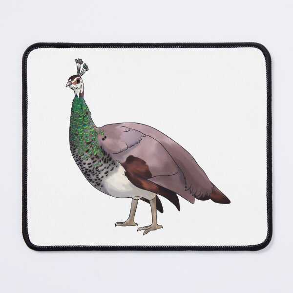 Item preview, Indian Blue Peahen designed and sold by Clucky-Designs.