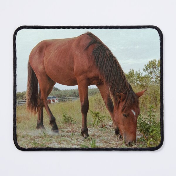 Item preview, Assateague Wild Horse designed and sold by cloudcovered.