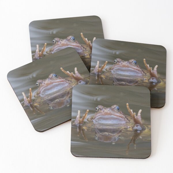 Item preview, Common Frog designed and sold by LaurenTucker.