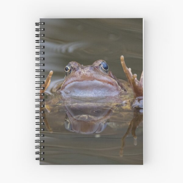 Item preview, Common Frog designed and sold by LaurenTucker.