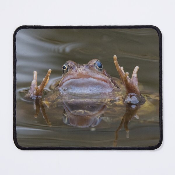Item preview, Common Frog designed and sold by LaurenTucker.