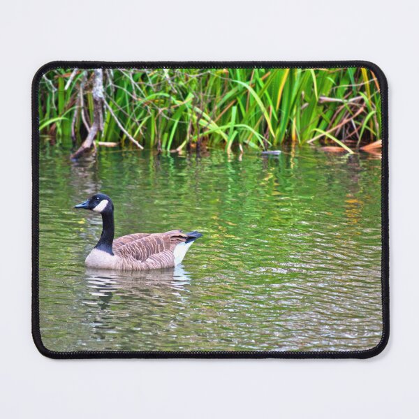Item preview, Goose Lake designed and sold by EarthUnlocked.